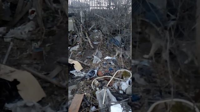 Состояние участка при покупке 1.2 смотреть онлайн