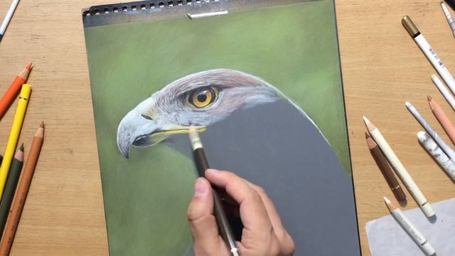 Colored Pencil Drawing of an Eagle смотреть онлайн