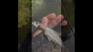 Рыбалка на реке Тойма 10 .09 .2022 г.