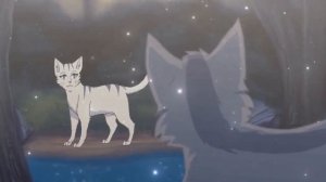 {•клип солнце Монако•} |=Серебрянка и Крутобок=|  коты воители [-заказ-]