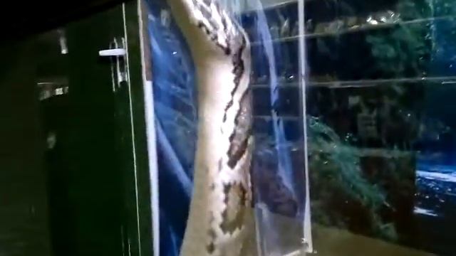 Python - Epta Piges смотреть онлайн