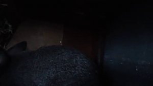 Разведение и содержание кроликов, клетки для них, кормление.(хоз двор)