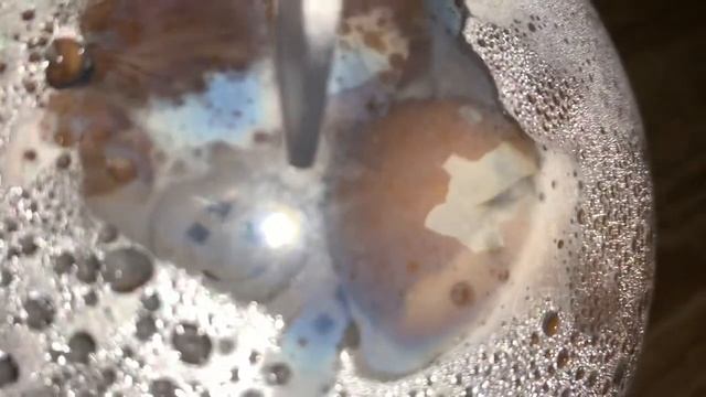 Рождение цыплят в мини инкубаторе на 7 яиц смотреть онлайн