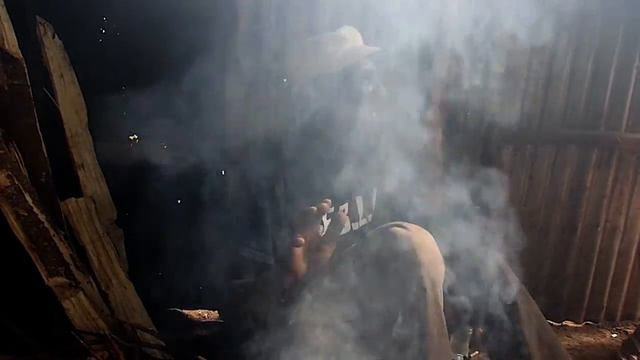 Кофейная плантация на Килиманджаро