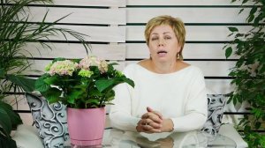 Внимание! Новинка! Гортензия метельчатая Pastel Green ? Обзор  hitsadTV