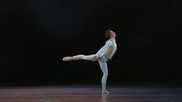 Вариация принца Дезире («Спящая красавица») – Сергей Полунин (Лондон, 2011) смотреть онлайн