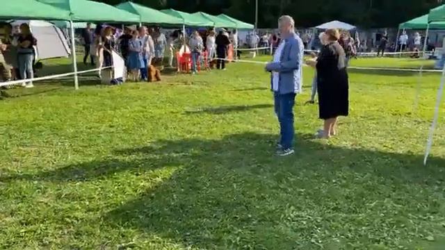 Моно Пудель, Ярославль, 14 августа 21, эксперт Дмитрий Альбертович Прозоров, Россия