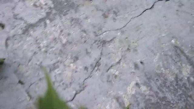 Обзор на лимонад Буратино Гост смотреть онлайн