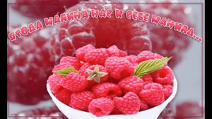 StarMaker_Валентина Легкоступова - Ягода малина_duet with =SVETLANKA=_2024-07-05_audio