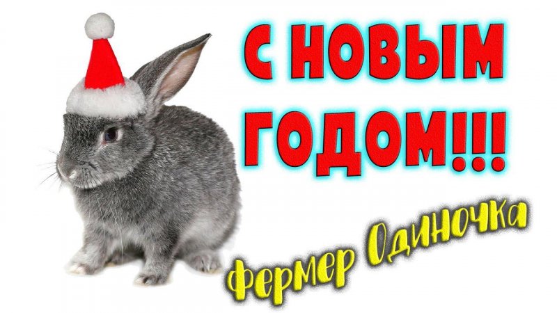 С НОВЫМ ГОДОМ!!! / Фермер Одиночка и Оладушек