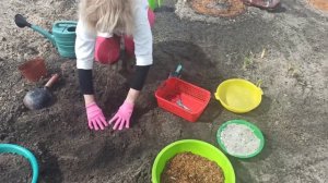 Самое красивое растение для сада. Как сажать спирею