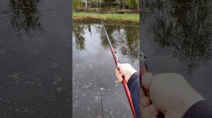 Удочка телескоп компакт 5метров