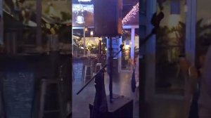 Агутин в Майями. «Ты забудешь обо мне на сиреневый луне...»