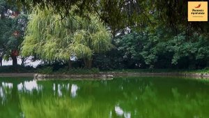 Рассказ мужчины | Измена жены. Достал обман капризной супруги. Праведная месть мужа. История