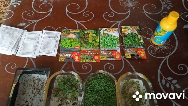 микрозелень- всходы и опять посев. зачем сходила в магазин? смотреть онлайн