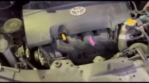 Toyota Ist NCP115 1NZ FE 2009 K310F  02A