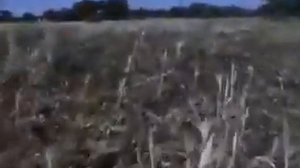 Филми Хазрати Мусо . Кино Пророк Мусо .