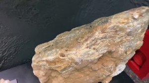 Дробилка Дипсис-290/220v -3кВт