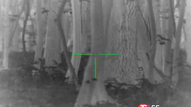 ATN Mars 4 (4,5 x18) Козлик в лесу. смотреть онлайн