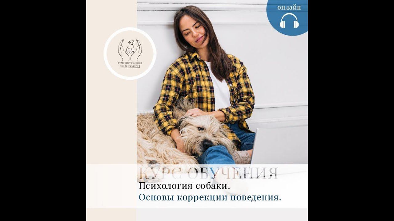 Причины туалетных проблем у собак. Часть 1. смотреть онлайн