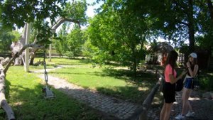 Запорожье 700 летний Дуб Распустился!
