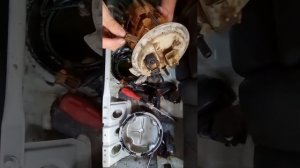 epica ga ustasiz benzonasos qo'yamiz!