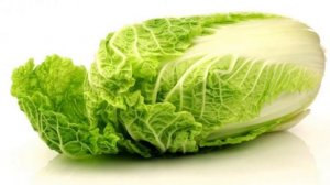 ЧЕМ КОРМИТЬ ХОМЯКА? ПРАВИЛЬНОЕ ПИТАНИЕ ХОМЯКА. ЧТО МОЖНО ХОМЯКУ?