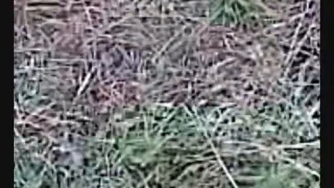 motocross Верхняя Салда 4.wmv