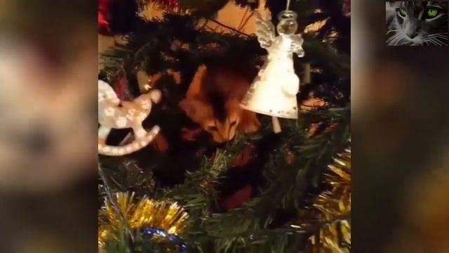 Животный гороскоп какие животные покровительствуют 2020 году смотреть онлайн