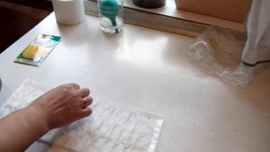 ПОСЕВ СЕМЯН ПЕРЦА на рассаду без использования земли. Обработка семян для хорошей всхожести