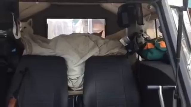 "Шерп" в Ханты-Мансийске смотреть онлайн