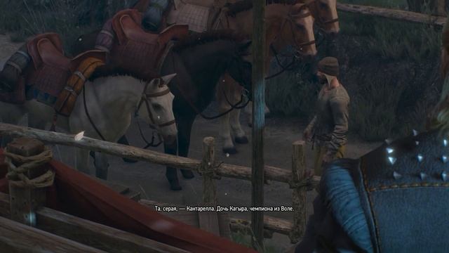 «Ведьмак 3: Дикая Охота» .10 блудниц Лютика..  Next-Gen. смотреть онлайн