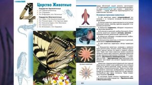 "Царство Животные", Биология 7 класс, Сивоглазов.mp4
