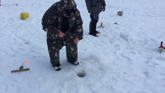 Поимки форели. РК Фишка Липки. 14 февраля 2023г. смотреть онлайн