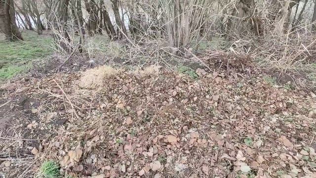 Наши червячники. Делаем свой биогумус. смотреть онлайн