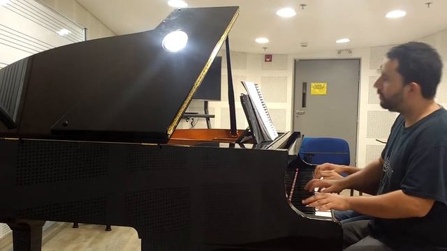 Mazurka (Chopinesque) four hands Godowsky смотреть онлайн