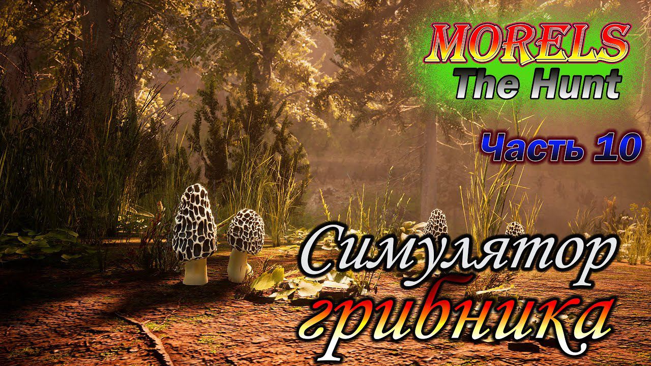 Morels: The Hunt. Симулятор грибника. Часть 10. Нашли оборотня!