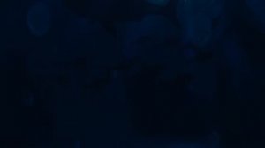 две лягушки на болоте «meme»