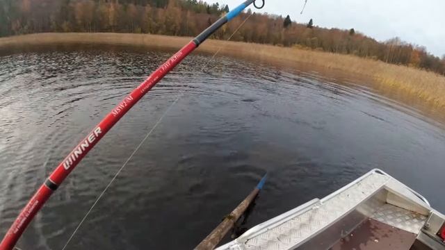 Трофей на воблер TsuYoki Draga 130 смотреть онлайн