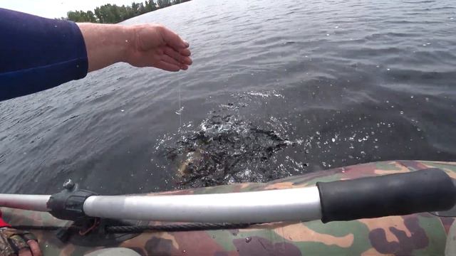 Окунь вездесущий или рыбалка в нерестовый запрет на платнике. смотреть онлайн