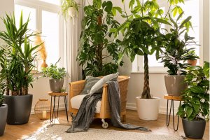 Кашпо для цветов ? LECHUZA CLASSICO LS с автополивом? #lechuzamoscow #автополив