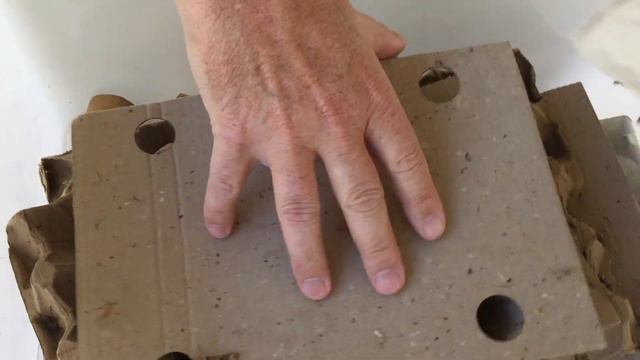 How To Build A Live Cricket Colony in Less Than 1 Minute смотреть онлайн