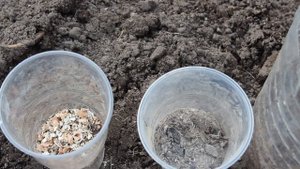 В ОДНОЙ ТЕПЛИЦЕ ТОМАТЫ, ОГУРЦЫ, ПЕРЕЦ, БАКЛАЖАНЫ/ПРАВИЛЬНОЕ РАСПОЛОЖЕНИЕ ПОСАДОК, САЖАЮ РАССАДУ