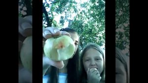 Кислые яблоки (KarinaDubova)