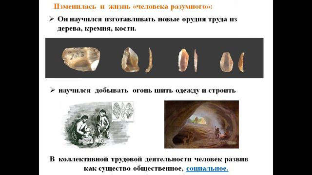Происхождение и развитие человека