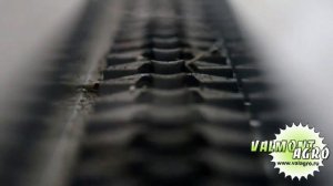 Семейная птицеферма