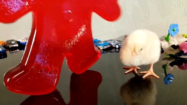 ЦЫПЛЕНОК И ЖЕЛЕЙНЫЙ ПРЯНЯ! Пряня открыл Киндер и нашел в нем живого цыпленка