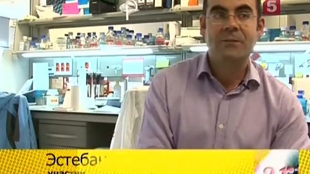 Эпигенетическое наследование смотреть онлайн