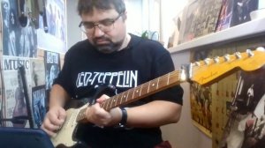 In The Evening. Стратокастер, гизмотрон и соло на басу