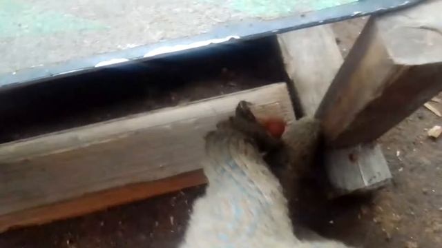 подкат для самоката легко смотреть онлайн